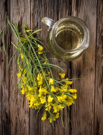 herbsの写真素材