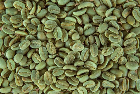 green coffee beans  の写真素材