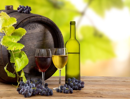 Wine still-life, glass, young vine and bunch of grapesの写真素材