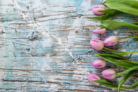 Beautiful tulips background on wooden table.の写真素材