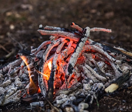 Bonfire in spring forest, close-up.