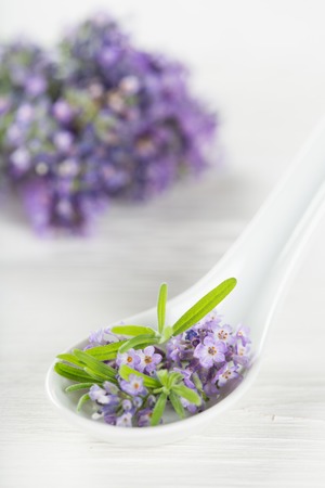 Lavender flowers with essential oil, close-up.の写真素材