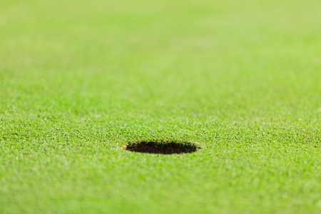 Close-up of golf ball during sunrise.の写真素材
