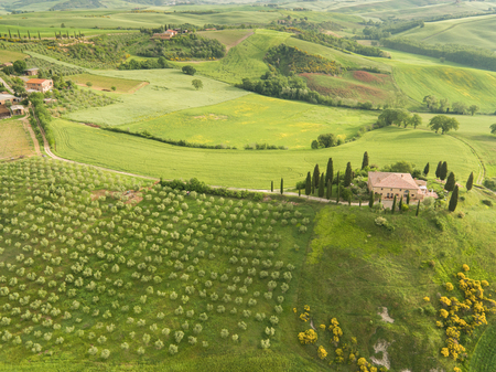 Tuscany, panoramic landscape - Italy, Europe.の写真素材