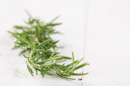 Twig of rosemary on a white backgroundの写真素材
