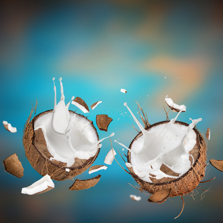 close-up of a coconuts with milk splash on defocused blue background.の写真素材
