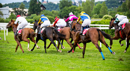 Race horses with jockeys on the home straightの写真素材
