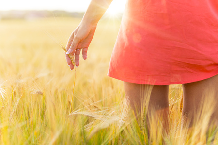 Girl in red dress walking on wheat field. Harvest theme.の写真素材
