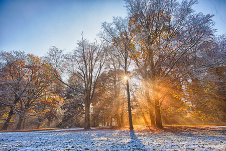 Colorful autumn forest. Beautiful rural scenery.の写真素材