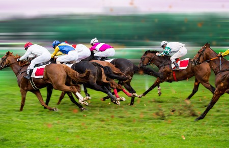 Race horses with jockeys on the home straight. Shaving effect.の写真素材