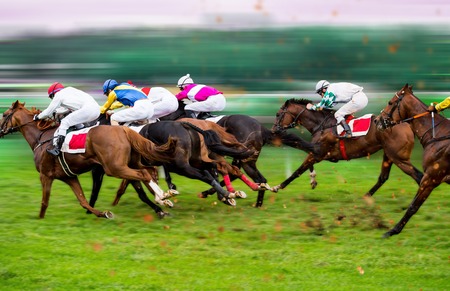 Race horses with jockeys on the home straight. Shaving effect.の素材 [FY31096602132]