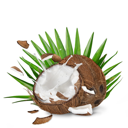 close-up of a coconuts with milk splash. Isolated on white background.の写真素材