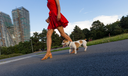 Young woman with her dog walking.の写真素材