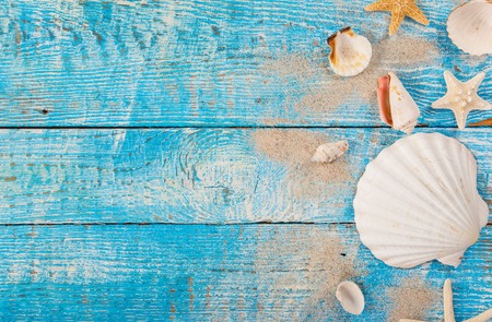 Summer traveling time. Sea holiday background with various shells.