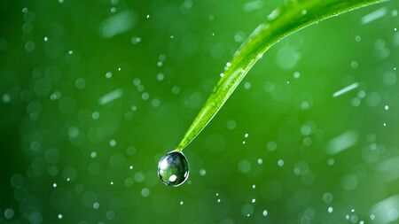 Macro shot of water drop over the green grass leaf , relaxation with water ripple drops concept