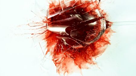Top Shot of Breaking Glass with Red Wine