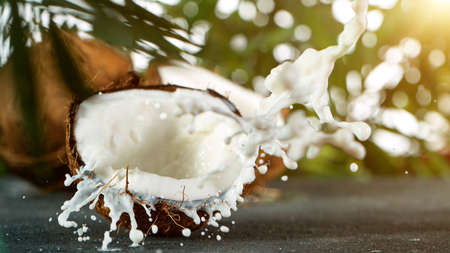 Freeze Motion of Water Splashing on Coconut
