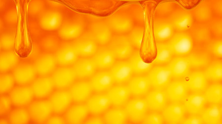 Drops of Fresh Honey Flow from the Honeycomb.の写真素材