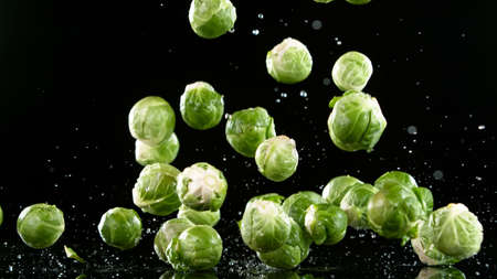 Brussels sprouts falling on black backgroundの写真素材