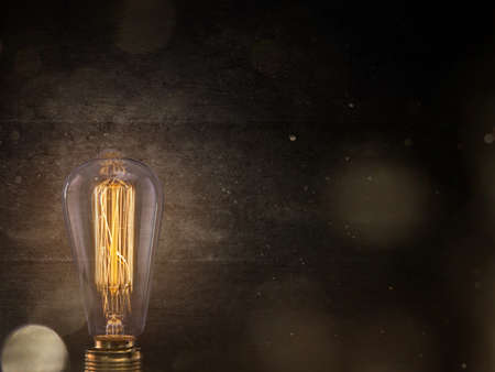 Decorative antique edison style light bulb