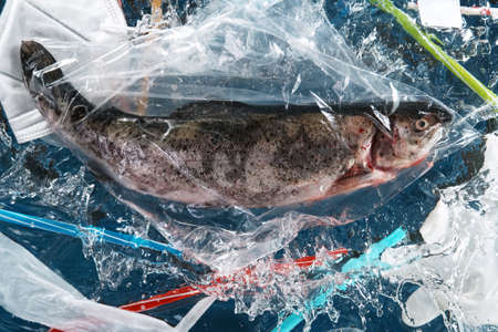 Falling sea fish with plastic garbage. Plastic waste environmental pollution problem.の写真素材