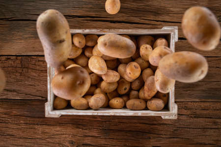 Fresh harvested potatoes falling down into a wooden box.の写真素材
