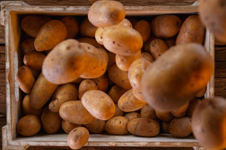 Fresh harvested potatoes falling down into a wooden box.の写真素材