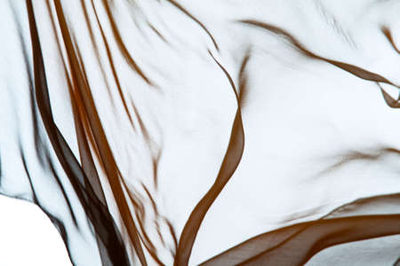 Smooth elegant transparent cloth