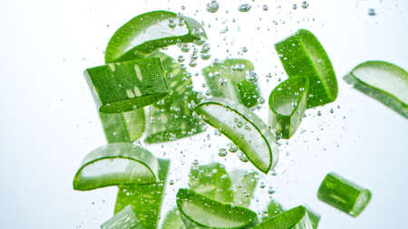 Aloe Vera sliced, freeze motion, isolated on white background.の写真素材