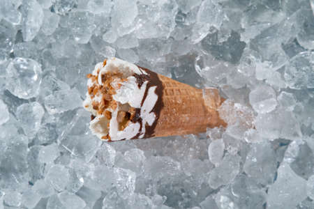 Tasty ice cream on crushed ice