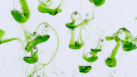 Viscous Green Liquid, Cosmetics Background.の写真素材