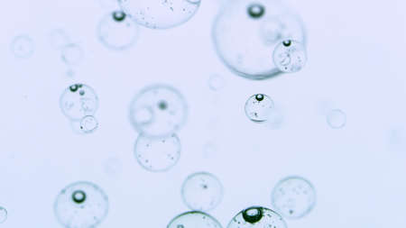 Moving Bubbles on White Backgroundの写真素材