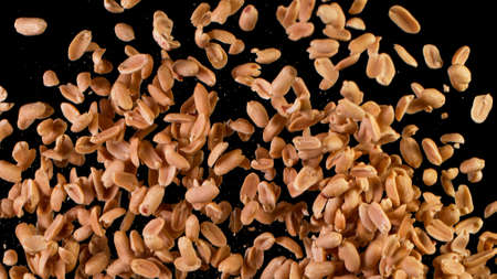 Freeze Motion Shot of Flying Roasted Peanuts.
