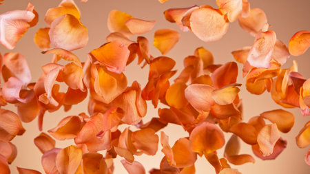Freeze motion of flying rose petals.の写真素材