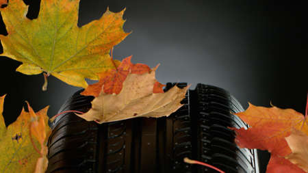 Car Tire with Water Splash and Autumn Leaves.