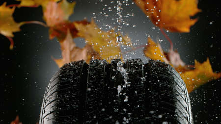 Car Tire with Water Splash and Autumn Leaves.の写真素材