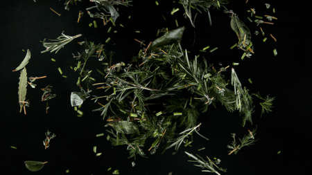 Freeze Motion Shot of Rotating Fresh Herbs.の写真素材