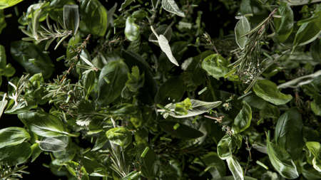 Freeze Motion Shot of Rotating Fresh Herbs.