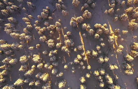 Aerial shot of golden hour sunset clouds in mountain valleyの写真素材