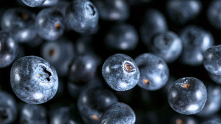 Ripe blueberries flying on a dark background, close-upの写真素材