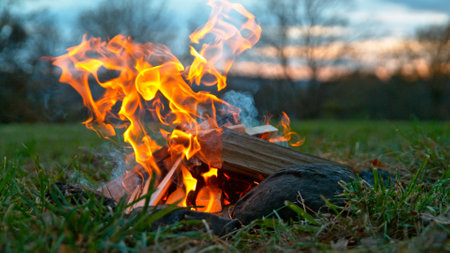 A Bonfire Burning in the Forest Meadow During Sunset. Slowmotion of Fireplace in Nature.の写真素材