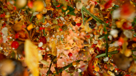 Freeze Motion Shot of Flying Various Spices, Macroの写真素材