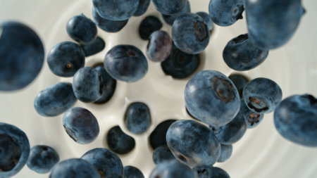 Fresh blueberries falling into yoghurt cream, top down viewの写真素材