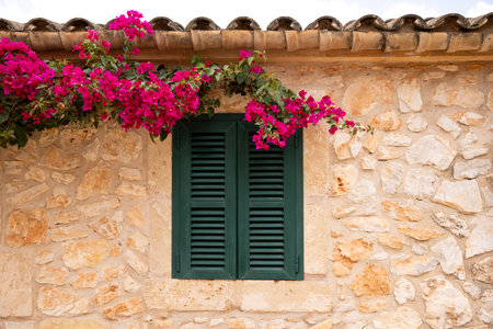 old green window in Mallorca, typical stone house, Spainの写真素材