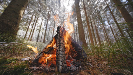Beautiful Crackling Campfire in the Winter Spruce Forest , Authentic Placeの写真素材
