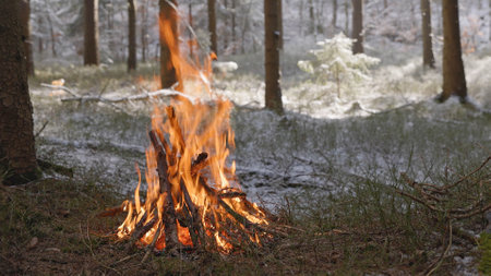 Beautiful Crackling Campfire in the Winter Spruce Forest , Authentic Placeの写真素材
