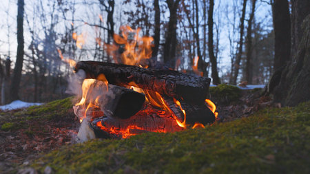 Beautiful Crackling Campfire in a Spring Forest , Authentic Placeの写真素材