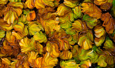 Close up tropical Green leaves texture and abstract background , Nature pattern