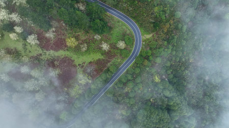 Aerial View of Asphalt Road in High Mountain Landscape , Madeira Island , Portugalの写真素材