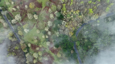 Aerial View of Asphalt Road in High Mountain Landscape , Madeira Island , Portugalの写真素材
